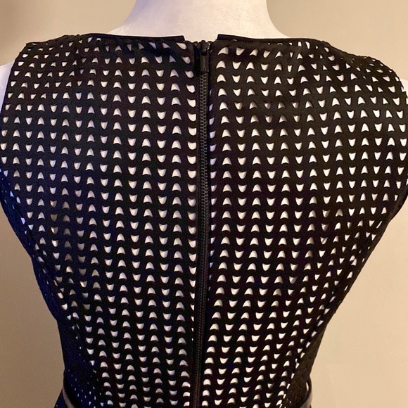 Calvin Klein Fit N Flare Dress NWOT - Picture 5 of 8